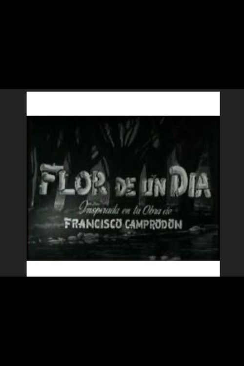 Flor de un día