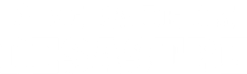 Witness to Disaster logo