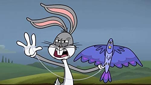 Poster della serie New Looney Tunes