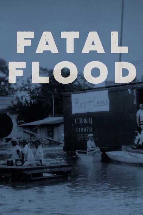 Fatal Flood (2001) poster