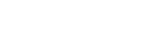 The Challenger Disaster