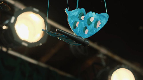 Benny Feldman - Butterfly Pavilion - imagem 4