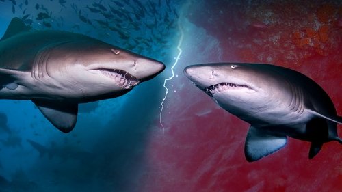 Cannibal Sharks Cannibal Sharks