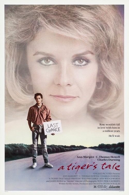 A Tiger's Tale movie poster player