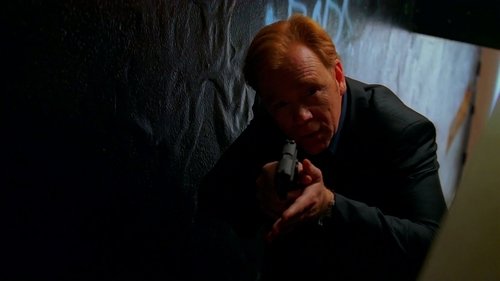 Poster della serie CSI: Miami