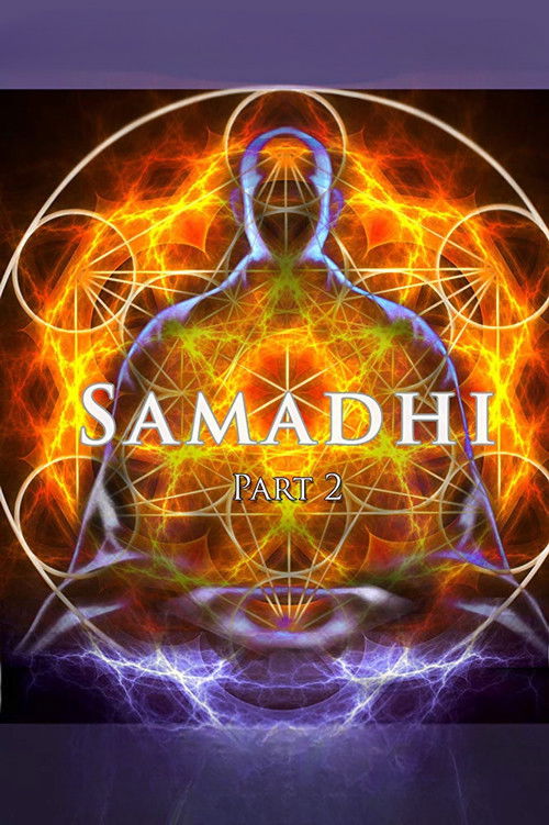 Samadhi Part 2: It's Not What You Think poster