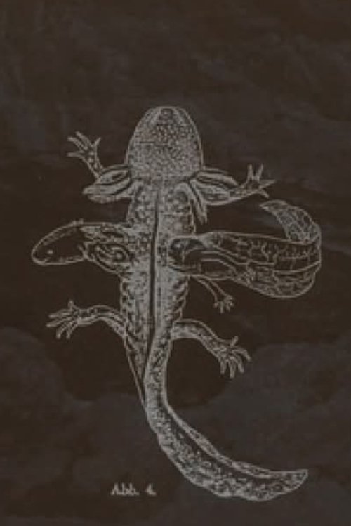 The Axolotl Stories-encounter