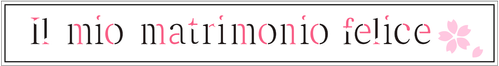 Il mio matrimonio felice official logo