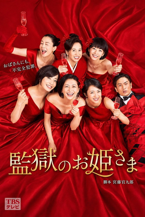 Prison Princesses poster