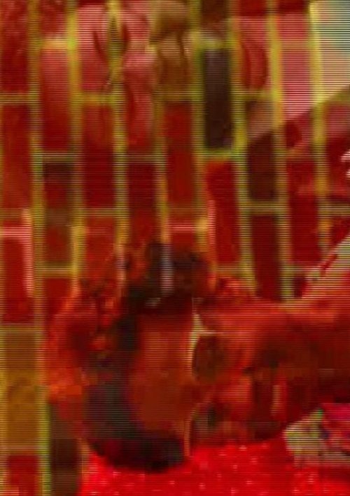 Kodachrome Revisited movie poster player