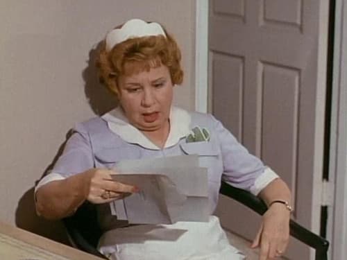Hazel, S03E24 - (1964)
