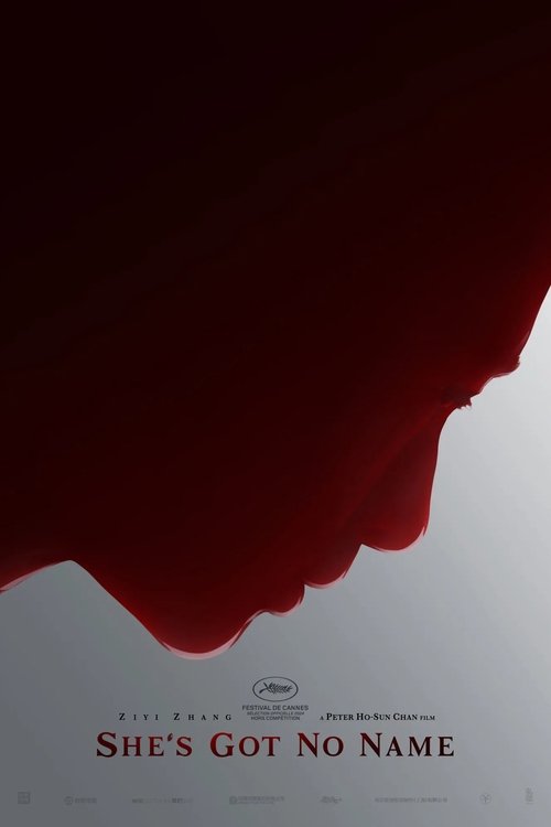 She's Got No Name poster