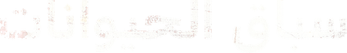 سباق الحيوانات