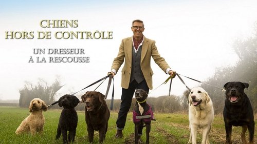 Dogs Behaving (Very) Badly