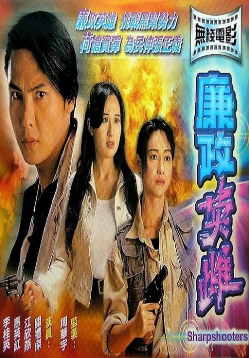 廉政英雌 (1994)