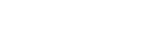 Тайный аудит