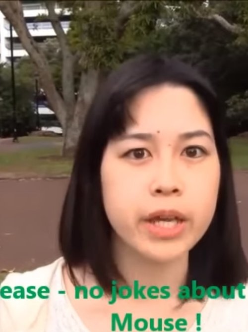 Wasabi Woman movie poster player
