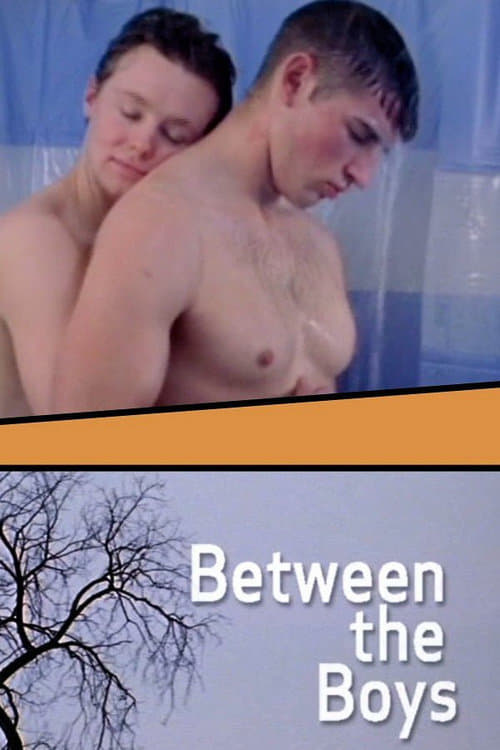 Between the Boys Movie Poster Image