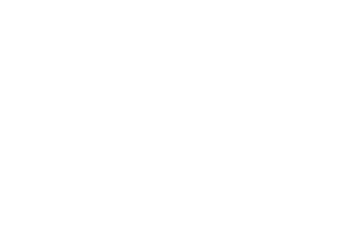 Because We Forget Everything