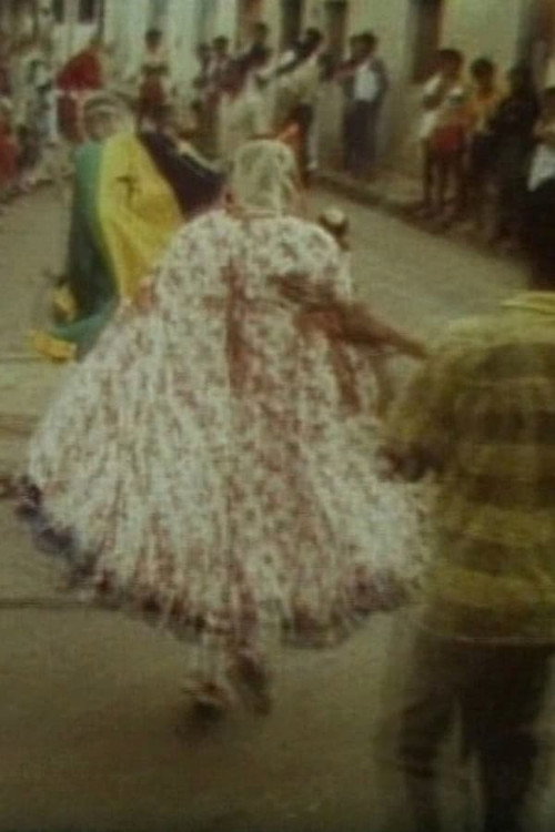 Filmer le monde DVD 2 Le Maître des chèvres (Sacrifices et divination chez les Hamar du sud de l'Ethiopie) - Amir. La vie d'un musicien à Peshawar, Pakistan - Cuyagua, Les diables dansants