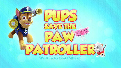 Pups Save the Paw Patroller