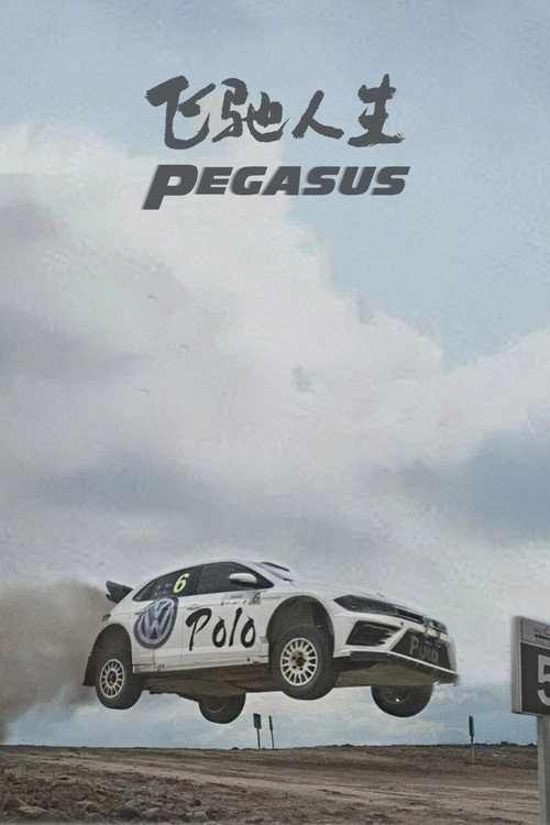 Pegasus poster