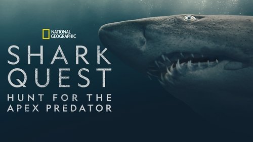 Shark Quest: Hunt For The Apex Predator