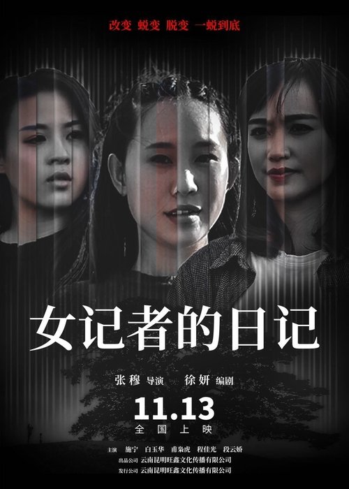 女记者的日记 (2020) poster