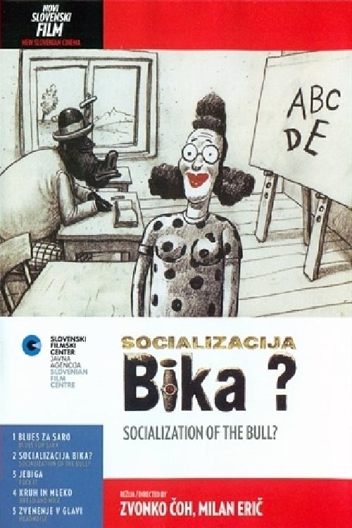 Socializacija bika? 1998