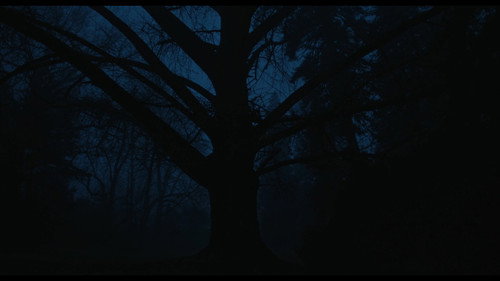 Silent Friend - Still