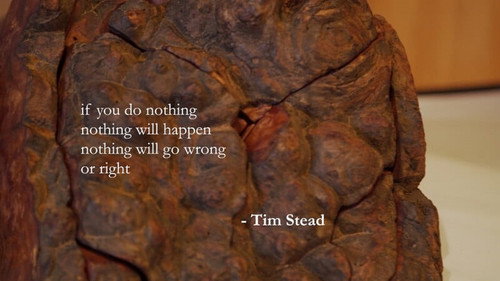 Tim Stead: Magician With Wood Bild 3