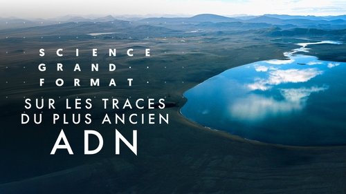 Sur les traces du plus ancien ADN