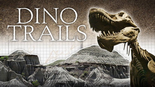Dino Trails Backdrop Blur