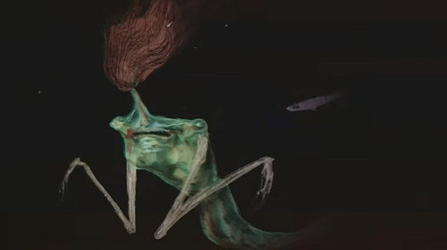 Mermaids still