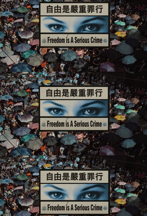 Freedom Is A Serious Crime movie poster player