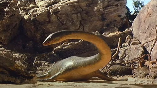 Muttaburrasaurus: Life in Gondwana