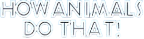 How Animals Do That!