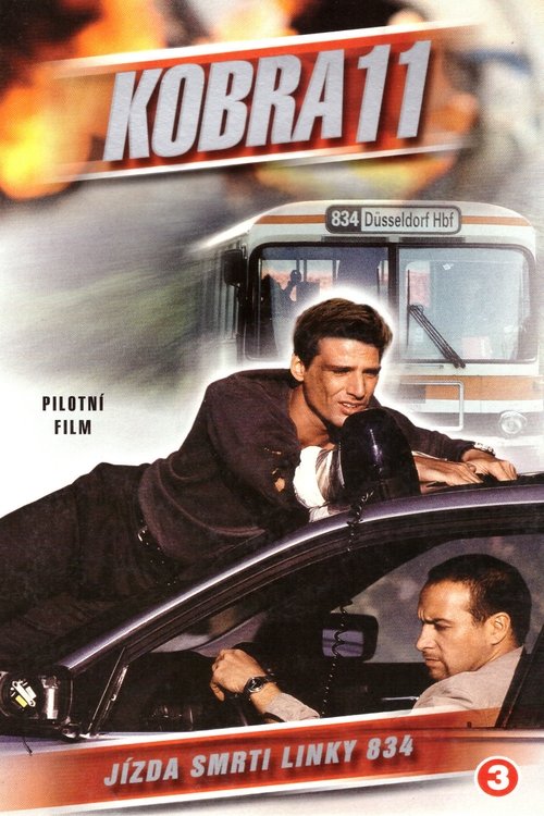 Poster de la Temporada 9 en la serie Alerta Cobra