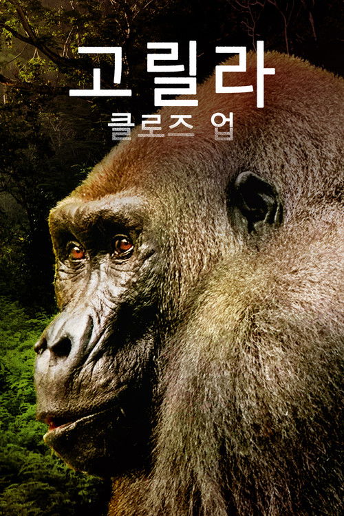 Gorillas Close Up poster