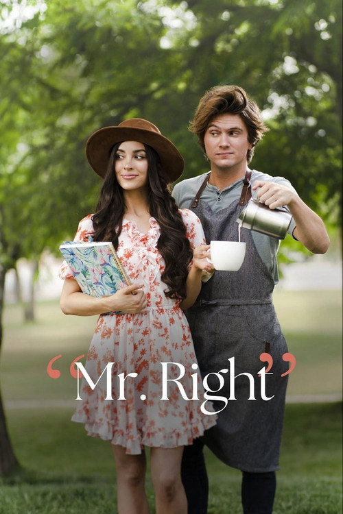 Mr. Right poster