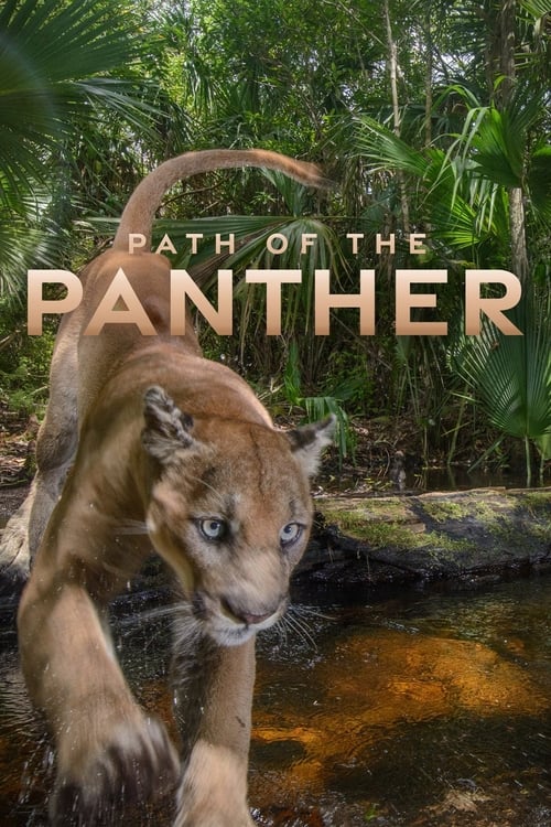 Path of the Panther ( Path of the Panther )