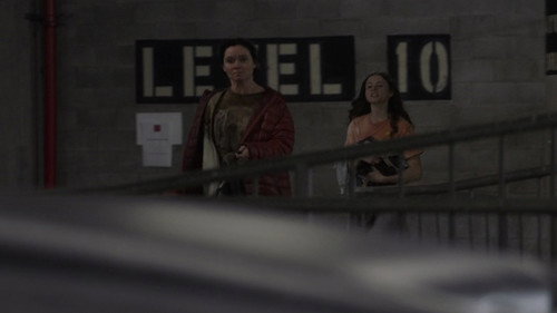 The Justice of Bunny King