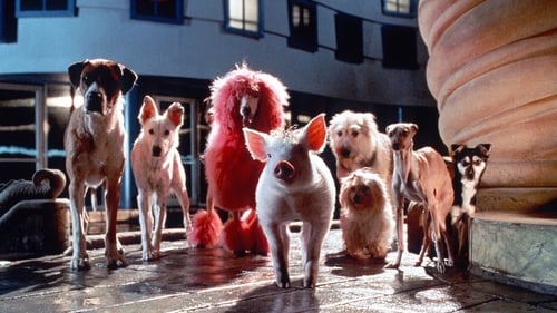 Babe: Pig in the City - This little pig went to the city... - Azwaad Movie Database