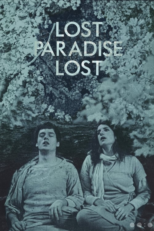 Lost Paradise Lost (2017) poster