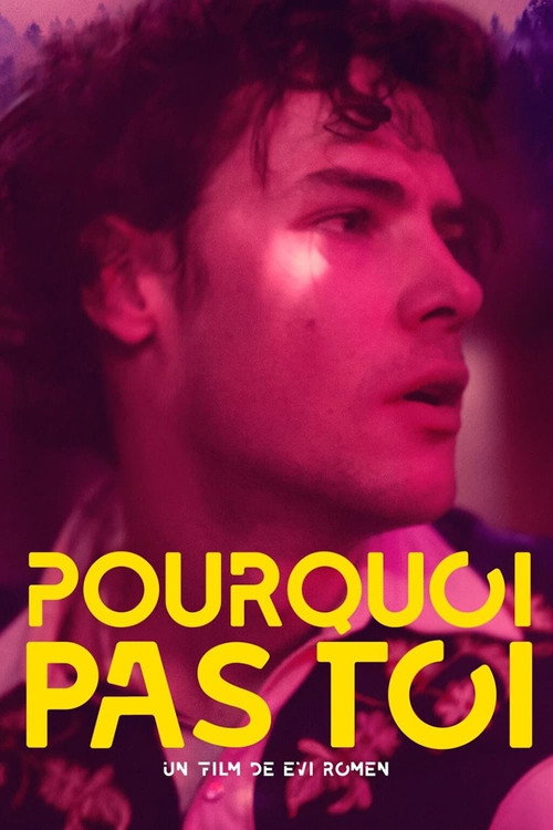 Affiche de Pourquoi pas toi