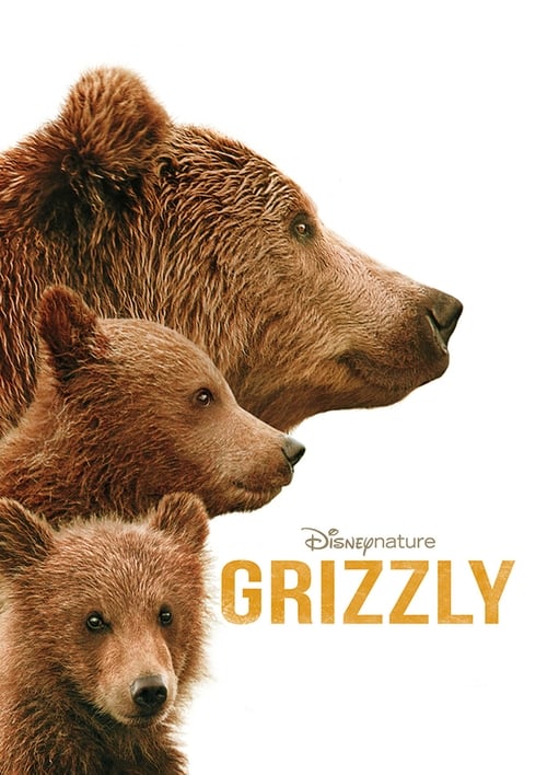 Grizzly 2014