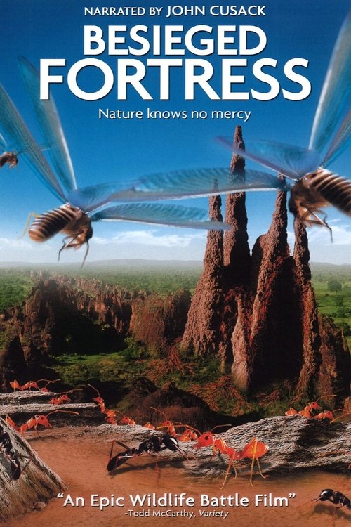 Poster for The Besieged Fortress