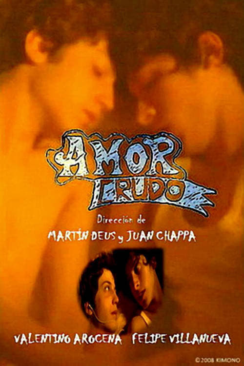 Poster Amor crudo 2008