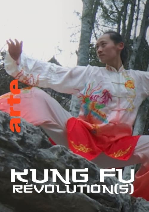 Poster Kung fu Révolution(s)