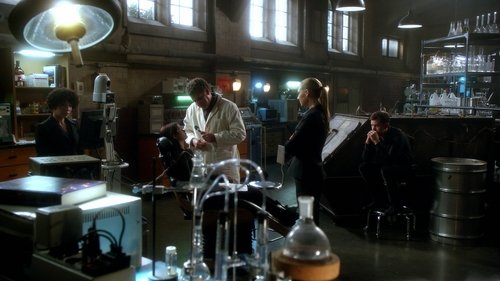 Poster della serie Fringe